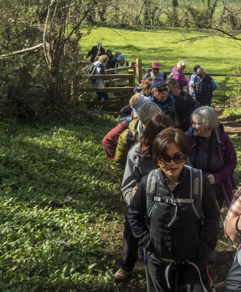 Photograph of Walking Route - Image 16