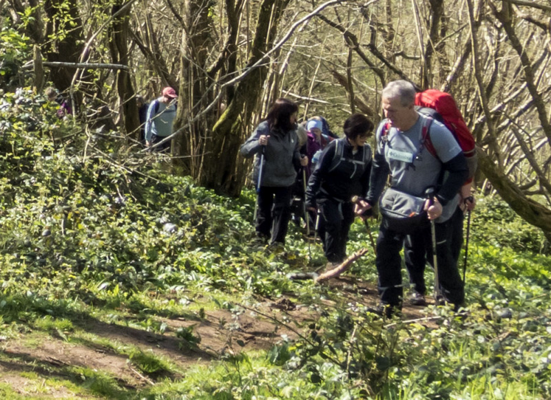 Photograph of Walking Route - Image 18