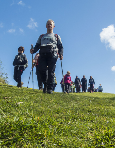 Photograph of Walking Route - Image 24