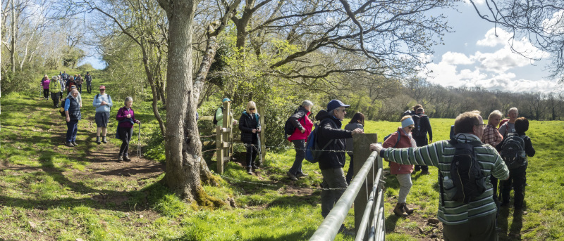 Photograph of Walking Route - Image 33