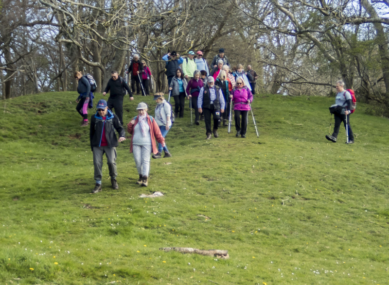 Photograph of Walking Route - Image 34