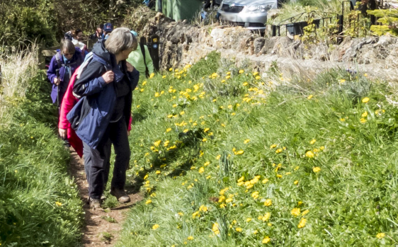 Photograph of Walking Route - Image 47