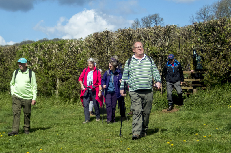 Photograph of Walking Route - Image 49