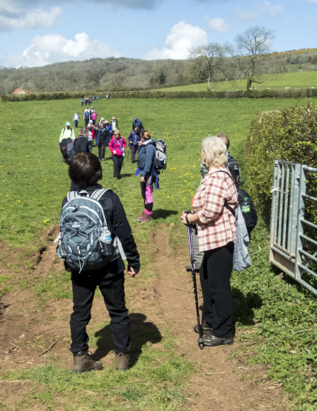 Photograph of Walking Route - Image 50