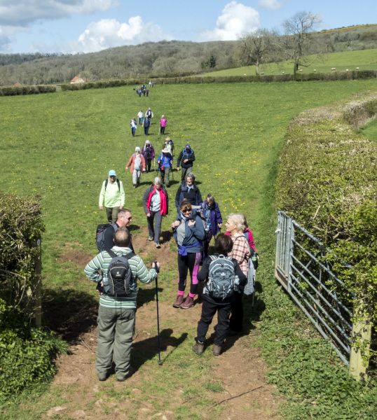 Photograph of Walking Route - Image 51