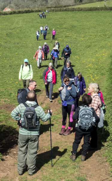 Photograph of Walking Route - Image 52