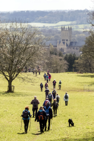 Photograph of Walking Route - Image 56