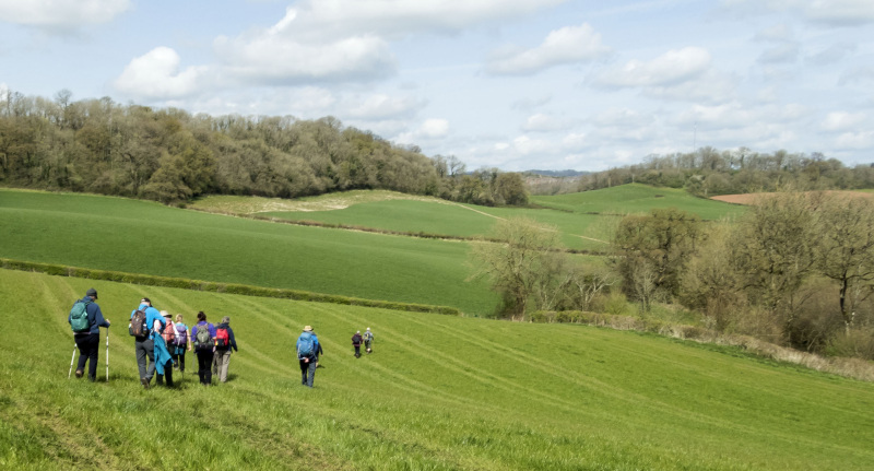 Photograph of Walking Route - Image 31