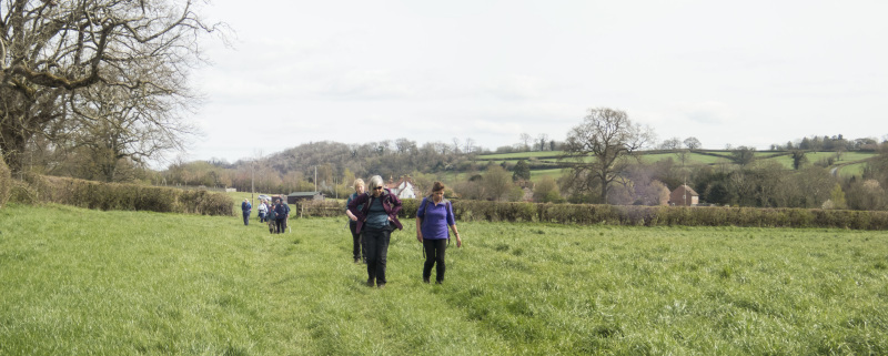 Photograph of Walking Route - Image 62