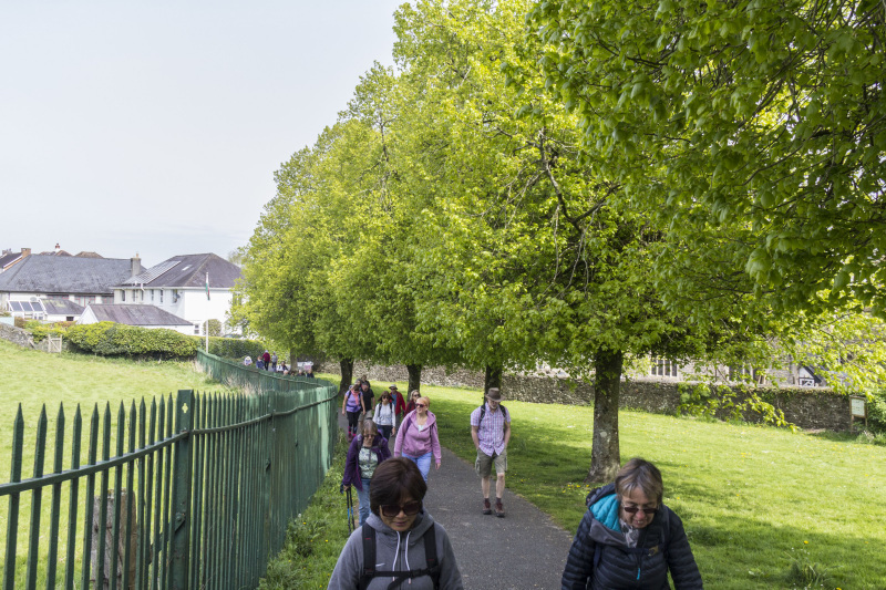 Photograph of Walking Route - Image 2