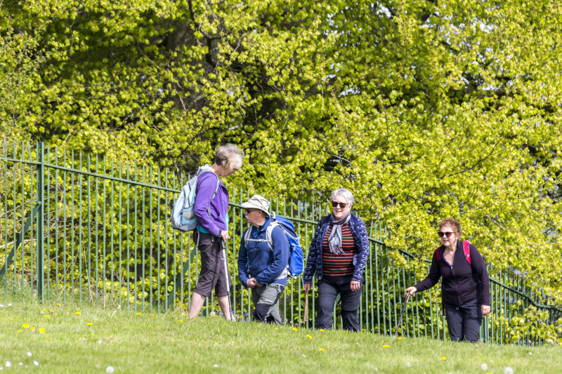 Photograph of Walking Route - Image 6