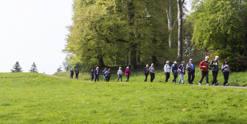 Photograph of Walking Route - Image 9