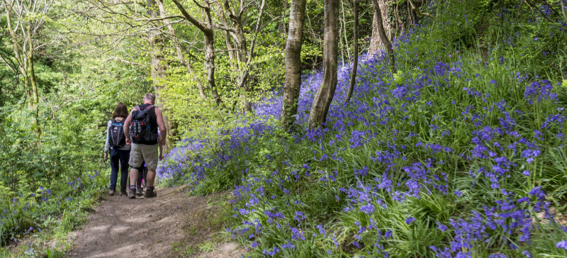 Photograph of Walking Route - Image 11