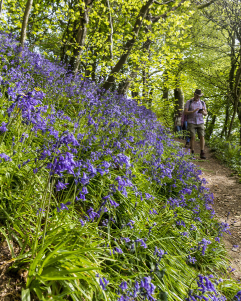 Photograph of Walking Route - Image 12