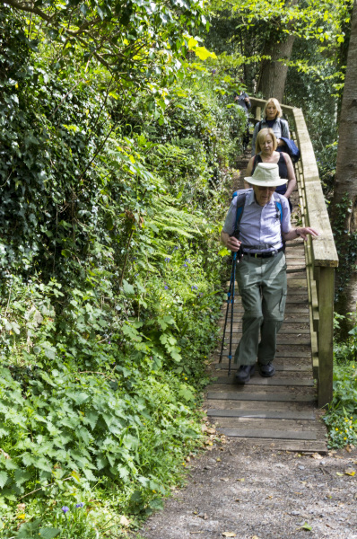 Photograph of Walking Route - Image 13