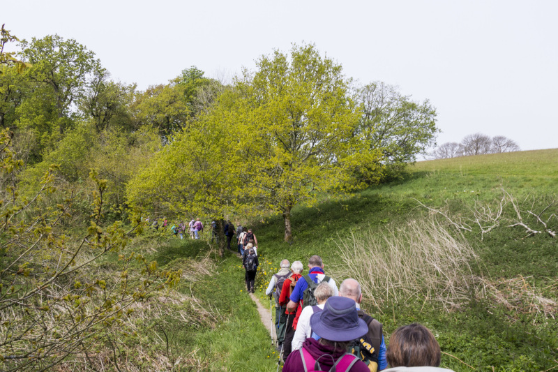 Photograph of Walking Route - Image 14