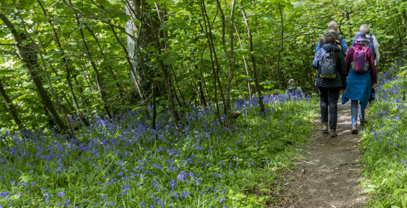 Photograph of Walking Route - Image 15