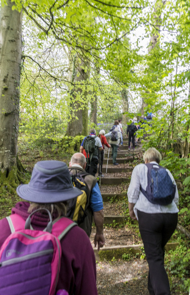 Photograph of Walking Route - Image 16