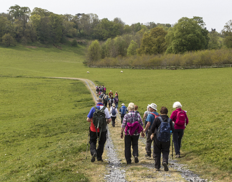 Photograph of Walking Route - Image 21