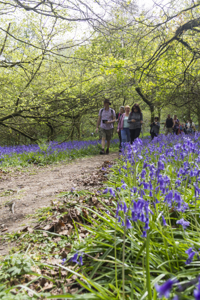 Photograph of Walking Route - Image 27