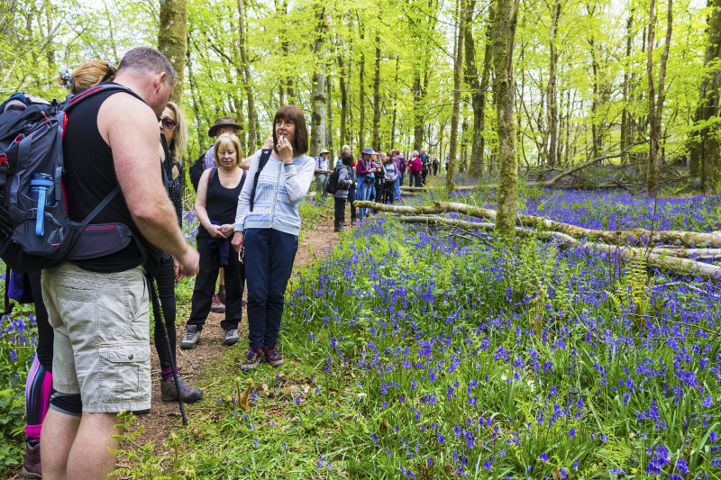 Photograph of Walking Route - Image 32