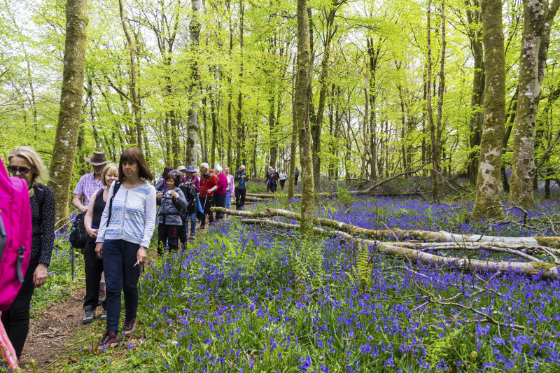 Photograph of Walking Route - Image 33