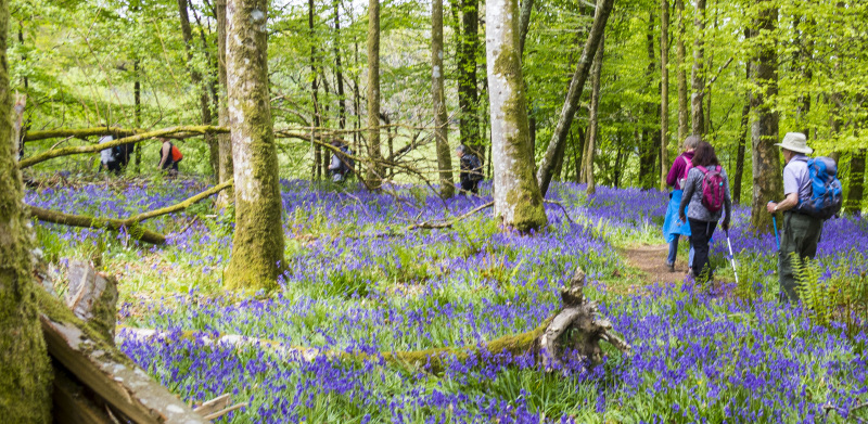 Photograph of Walking Route - Image 34