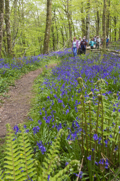 Photograph of Walking Route - Image 36