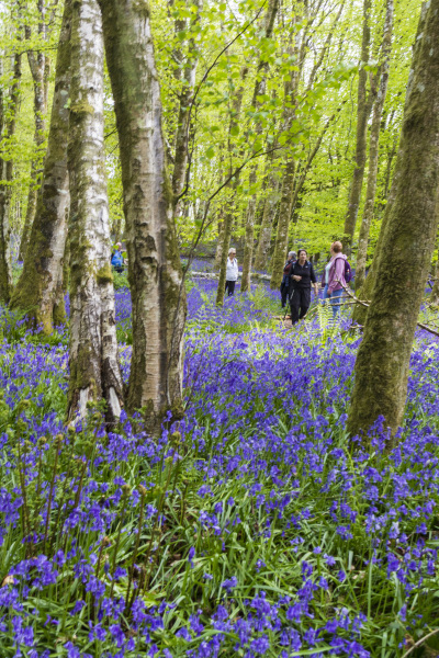 Photograph of Walking Route - Image 38