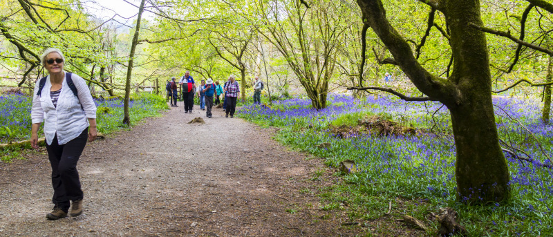 Photograph of Walking Route - Image 43