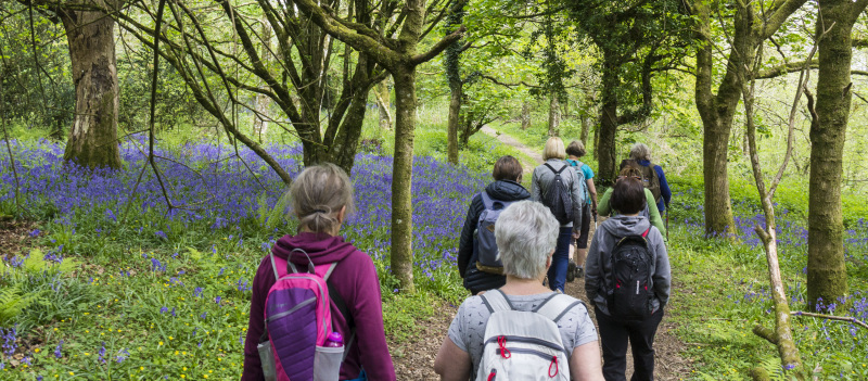 Photograph of Walking Route - Image 46