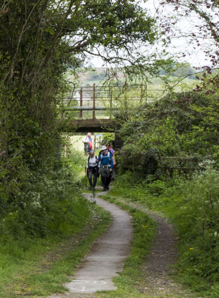Photograph of Walking Route - Image 37