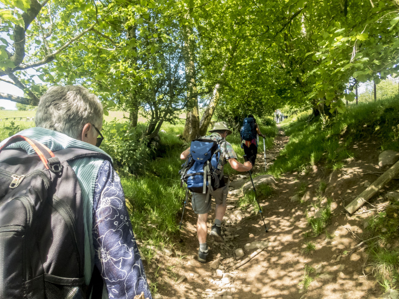 Photograph of Walking Route - Image 4