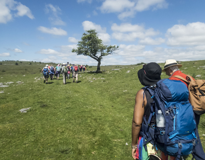 Photograph of Walking Route - Image 5