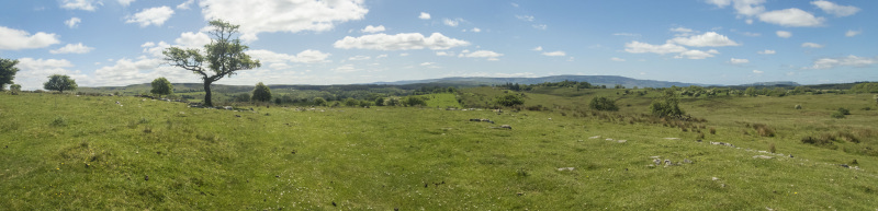 Photograph of Walking Route - Image 7