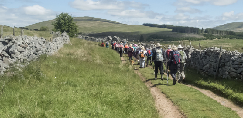 Photograph of Walking Route - Image 14