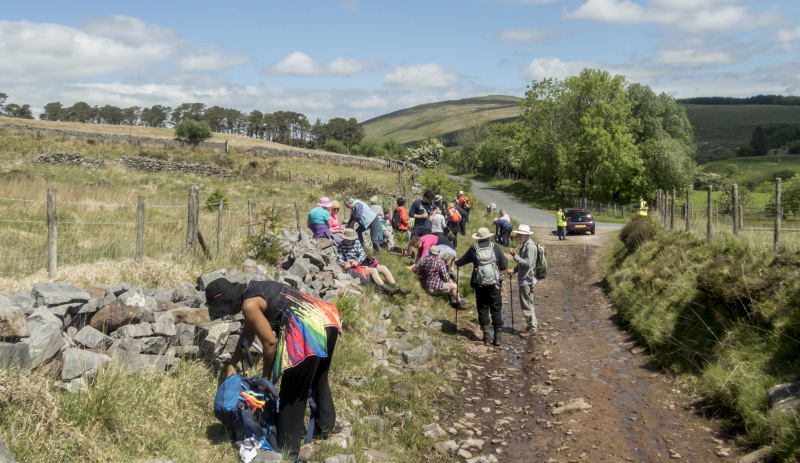 Photograph of Walking Route - Image 15