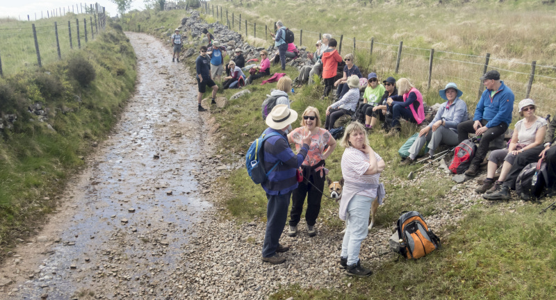 Photograph of Walking Route - Image 16