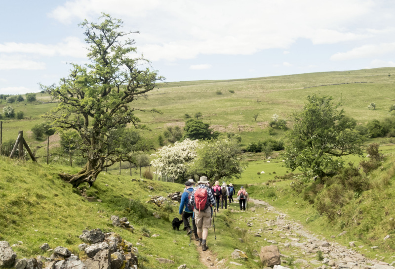 Photograph of Walking Route - Image 25