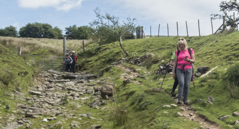 Photograph of Walking Route - Image 26