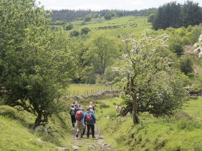 Photograph of Walking Route - Image 27