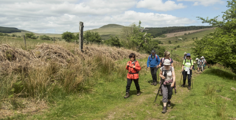 Photograph of Walking Route - Image 29
