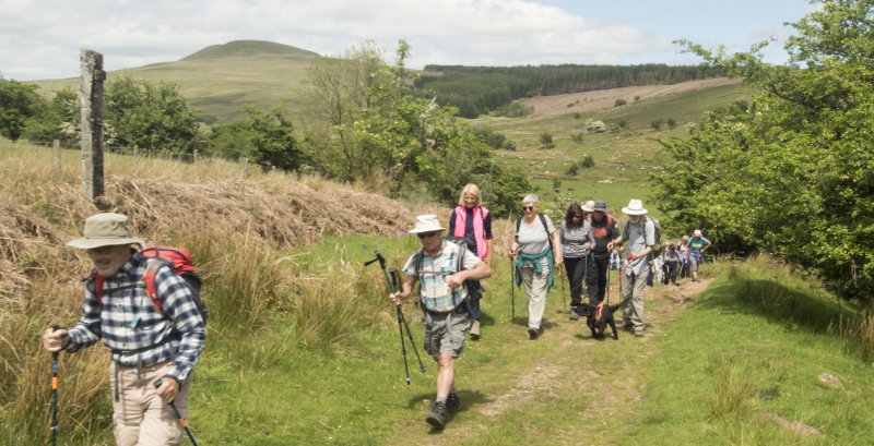 Photograph of Walking Route - Image 30