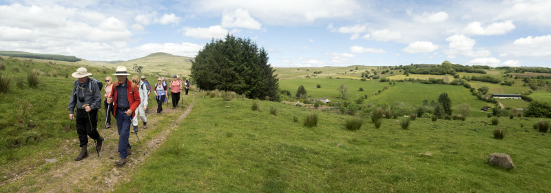 Photograph of Walking Route - Image 31