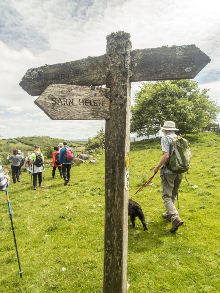 Photograph of Walking Route - Image 33