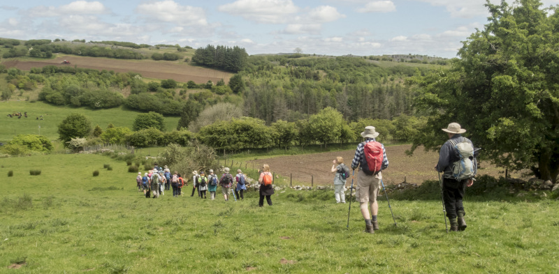 Photograph of Walking Route - Image 34