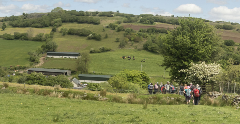 Photograph of Walking Route - Image 36