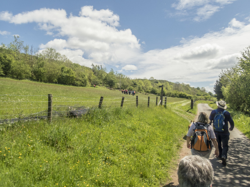 Photograph of Walking Route - Image 40