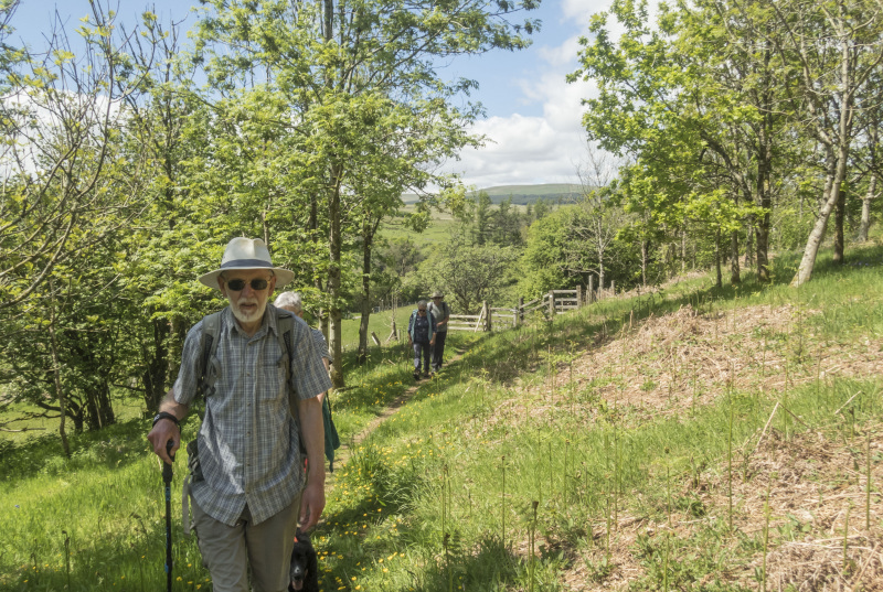 Photograph of Walking Route - Image 41
