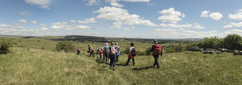 Photograph of Walking Route - Image 46